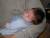 Un petit dodo